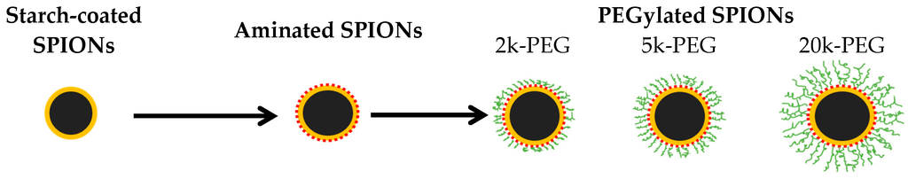 Ijms 17 00054 g006 1024
