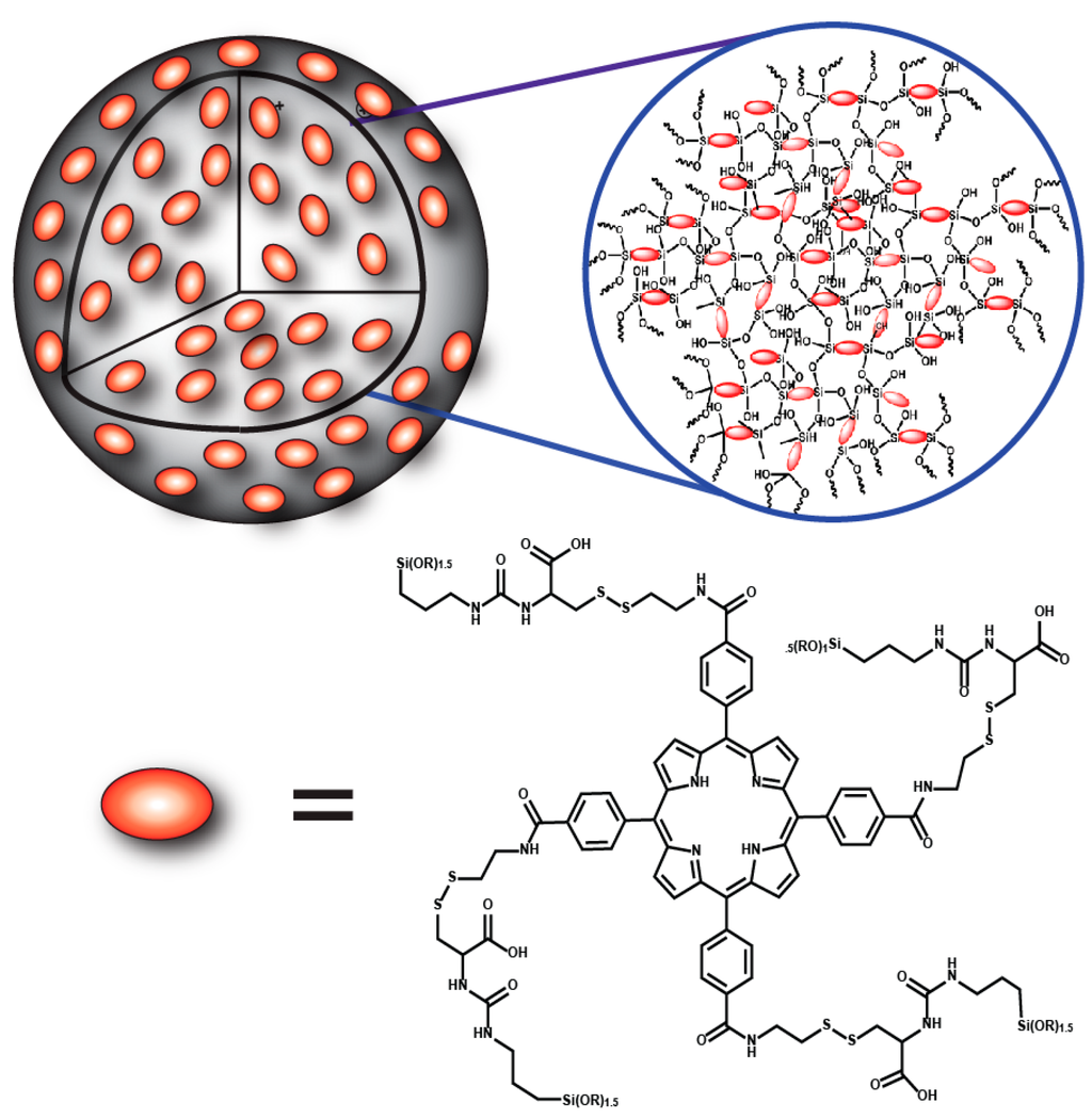 Ijms 17 00056 g006 1024