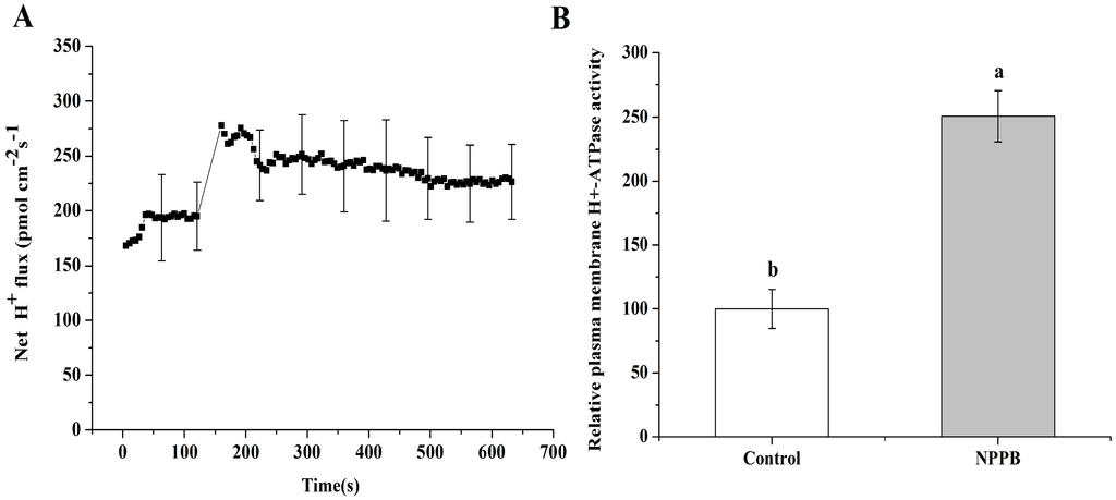 Ijms 17 00057 g008 1024