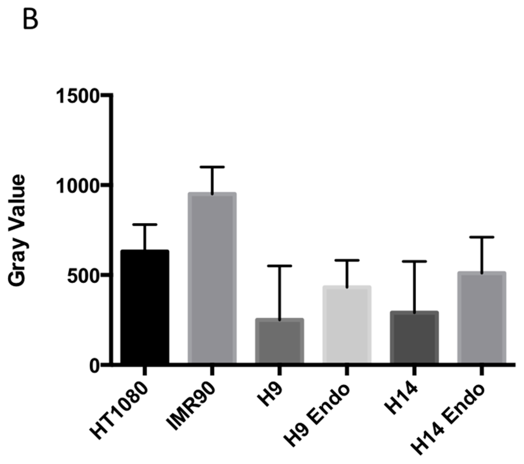 Ijms 17 00058 g001b 1024
