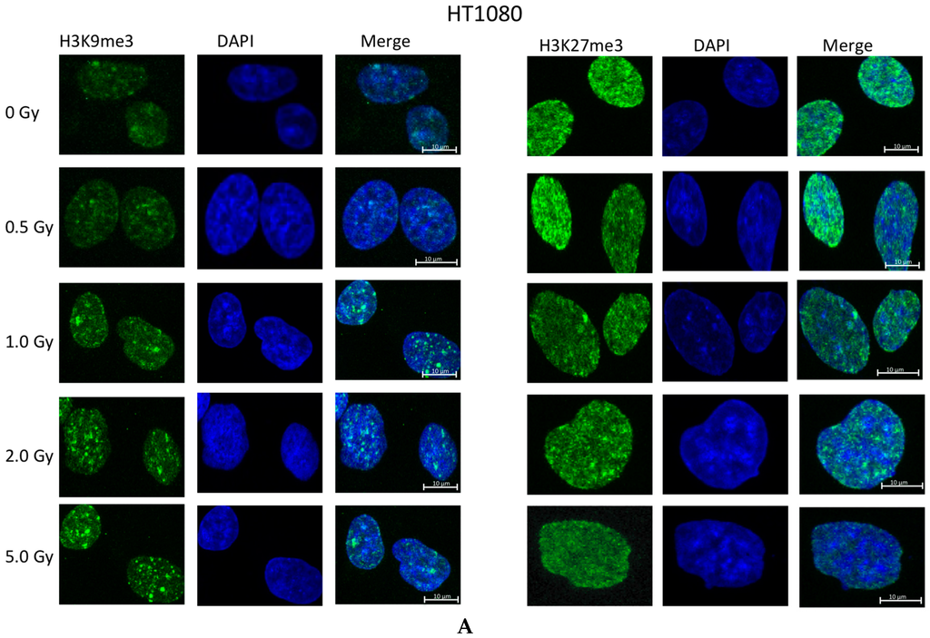 Ijms 17 00058 g002a 1024