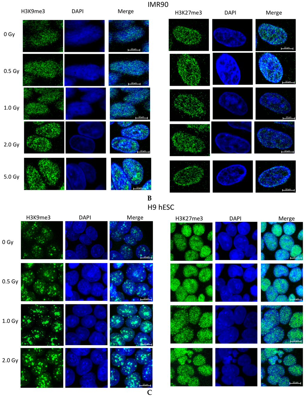 Ijms 17 00058 g002b 1024
