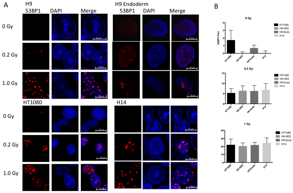 Ijms 17 00058 g005 1024