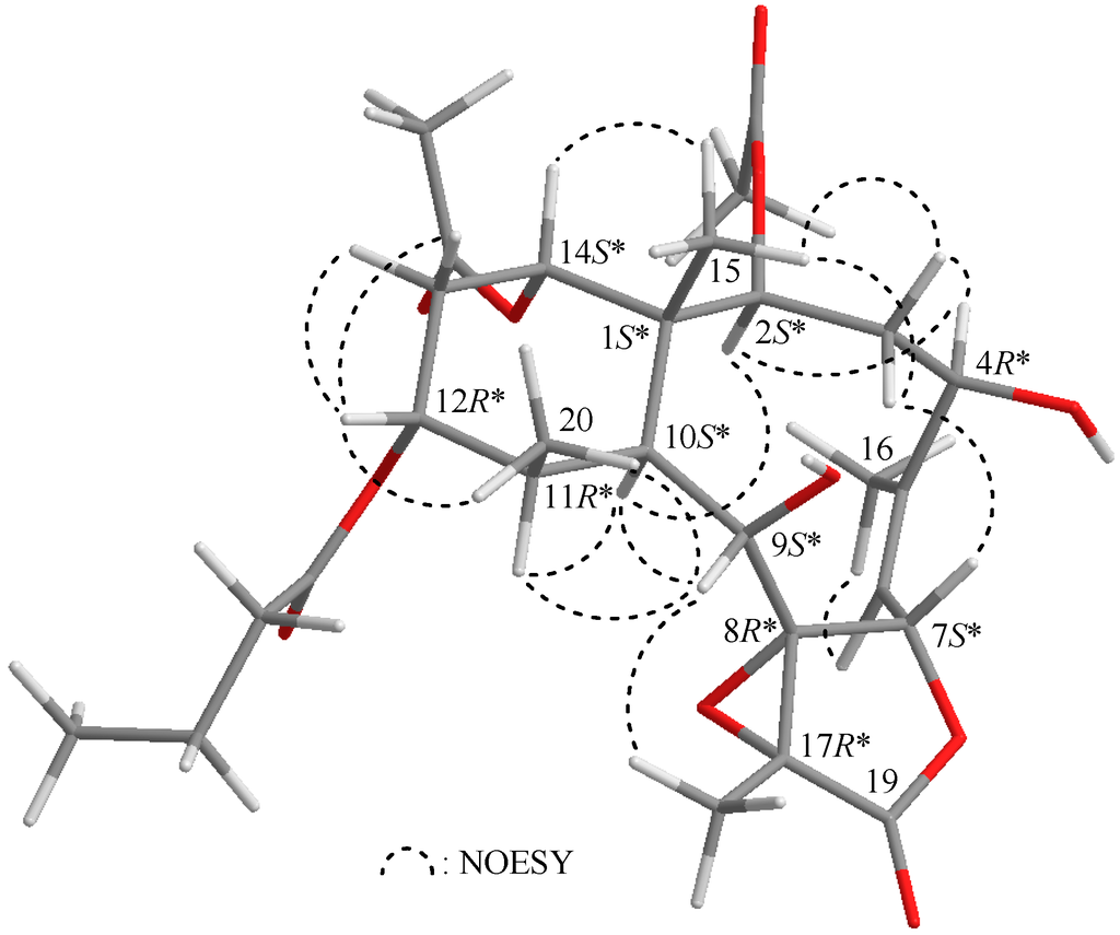 Ijms 17 00079 g003 1024