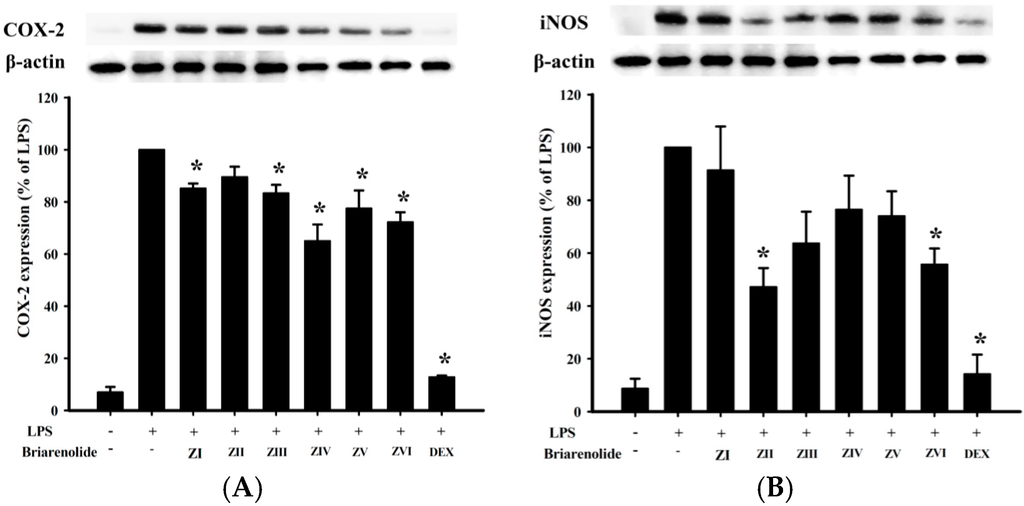 Ijms 17 00079 g004 1024
