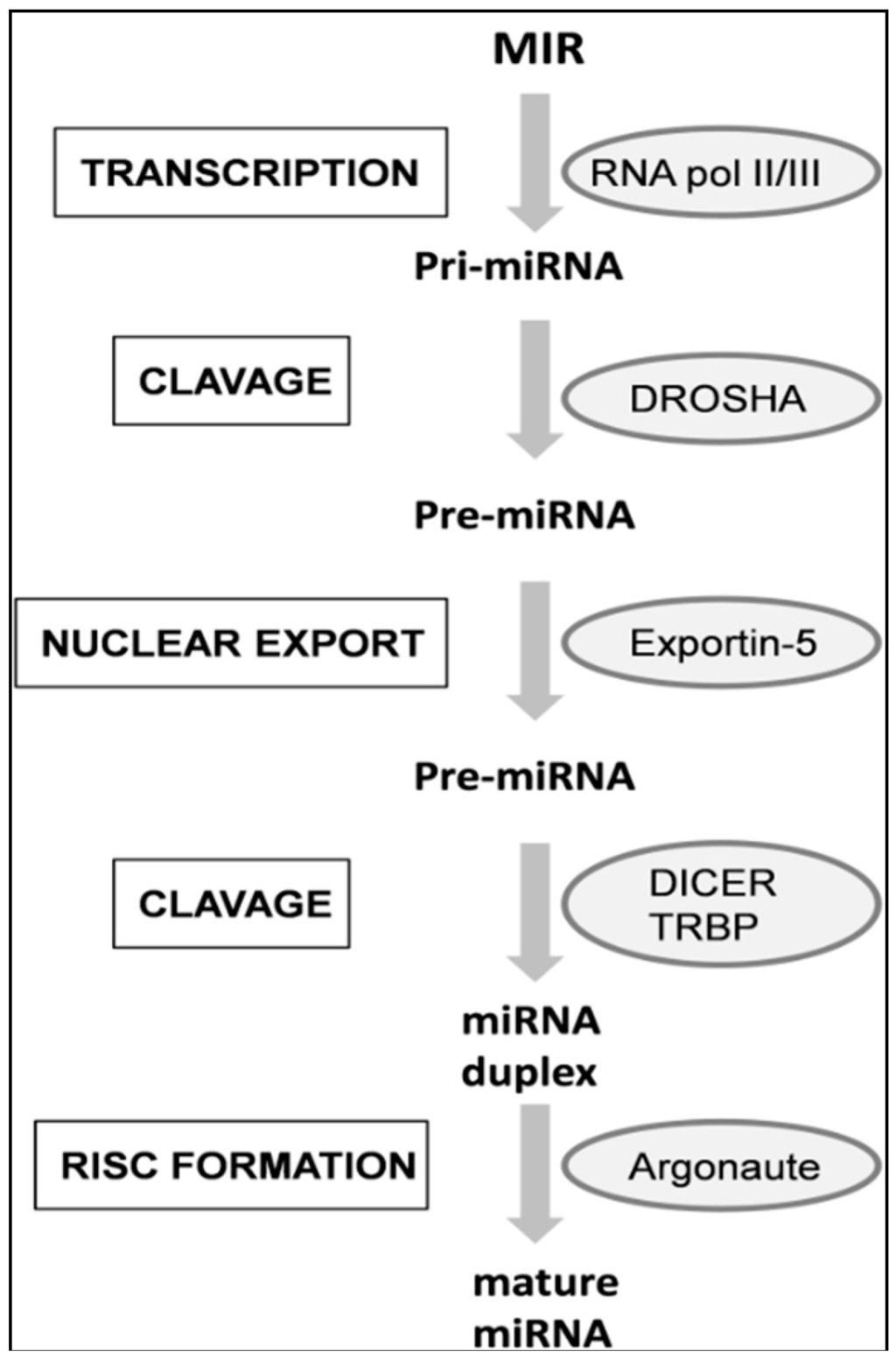 Ijms 17 00093 g001 1024