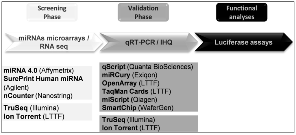 Ijms 17 00093 g002 1024