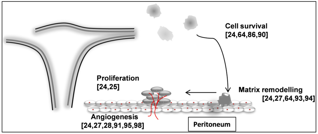 Ijms 17 00093 g003 1024
