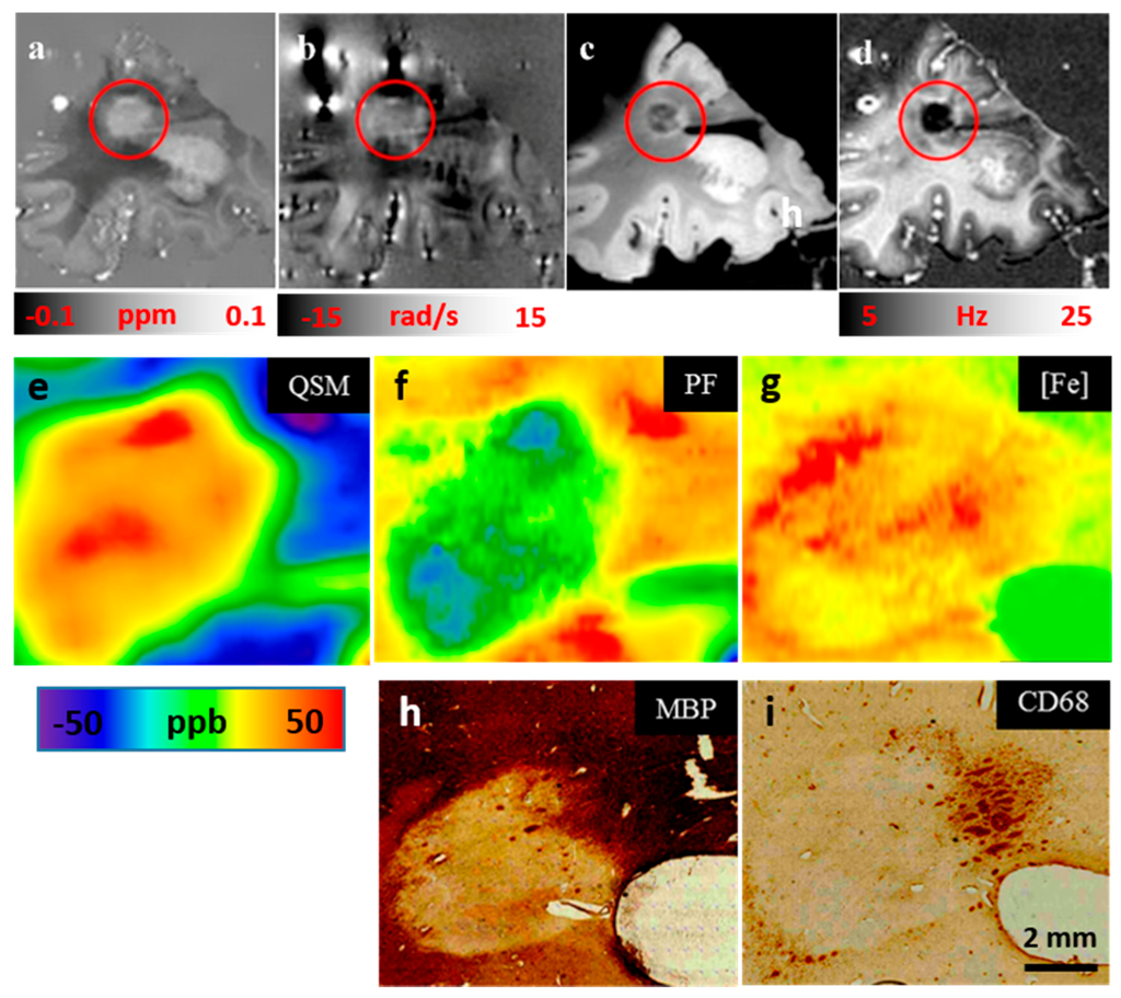 Ijms 17 00100 g005 1024