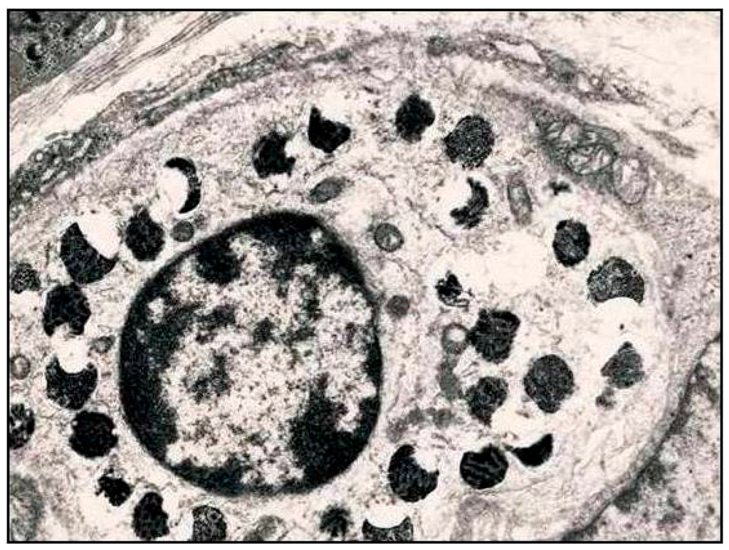 Ijms 17 00109 g002 1024