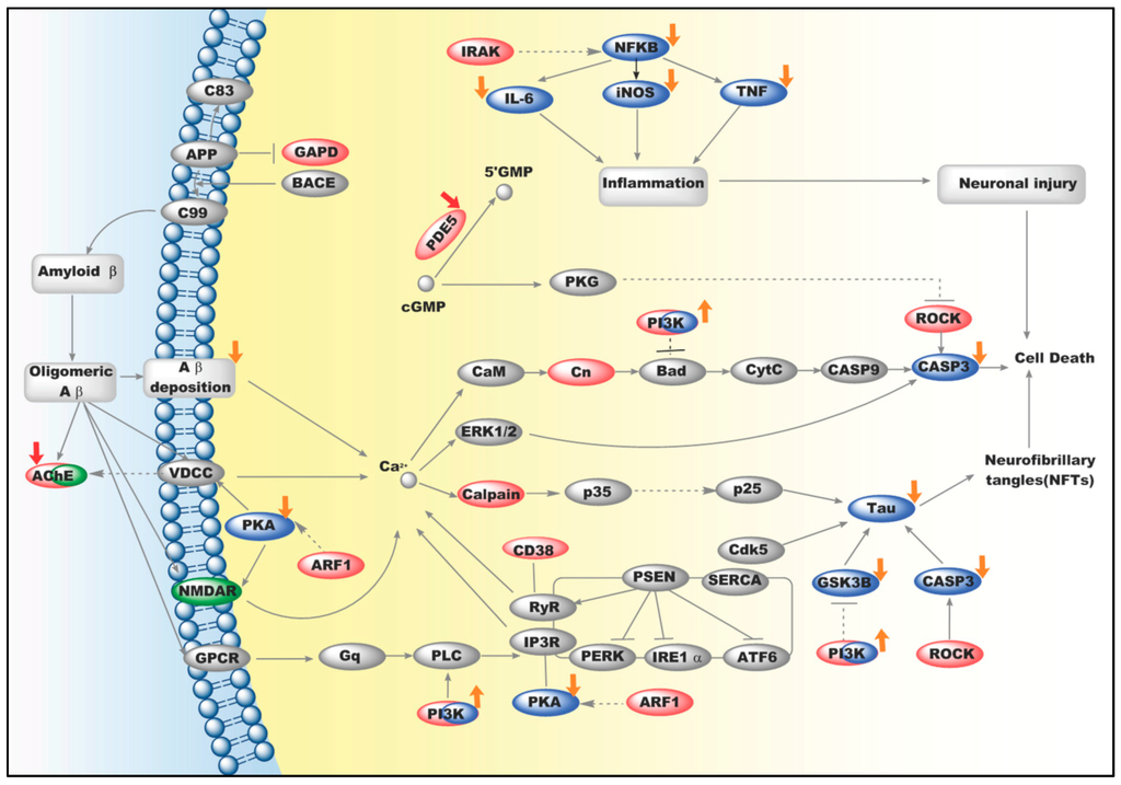 Ijms 17 00113 g002 1024