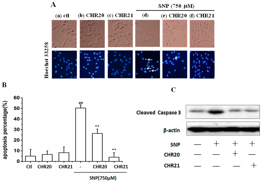 Ijms 17 00117 g005 1024