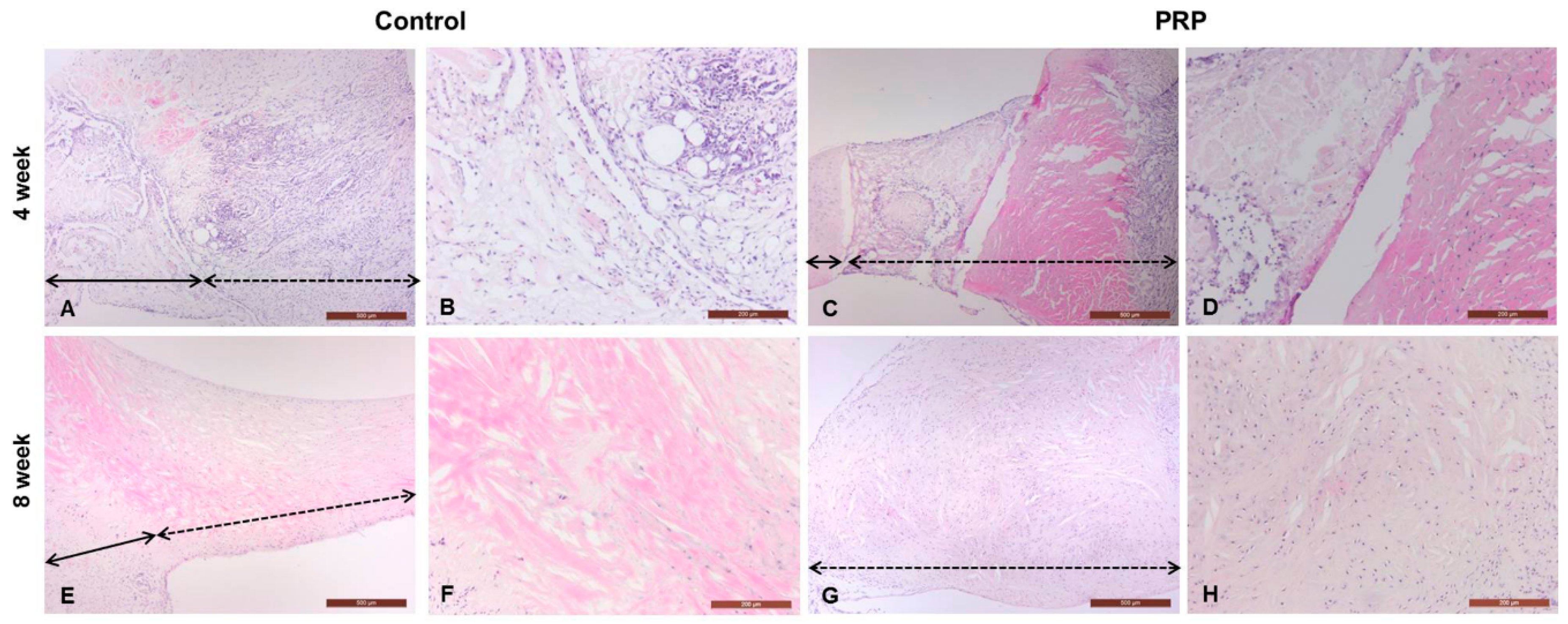 Ijms 17 00120 g006