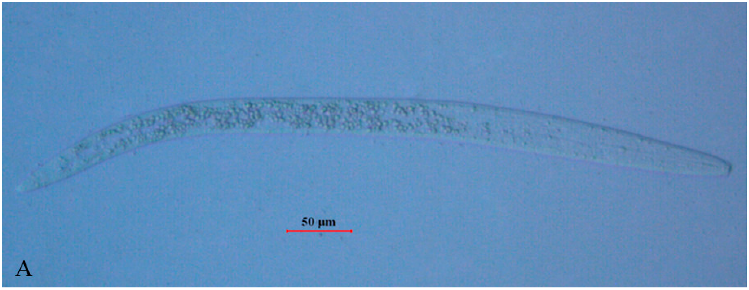 Ijms 17 00125 g001a