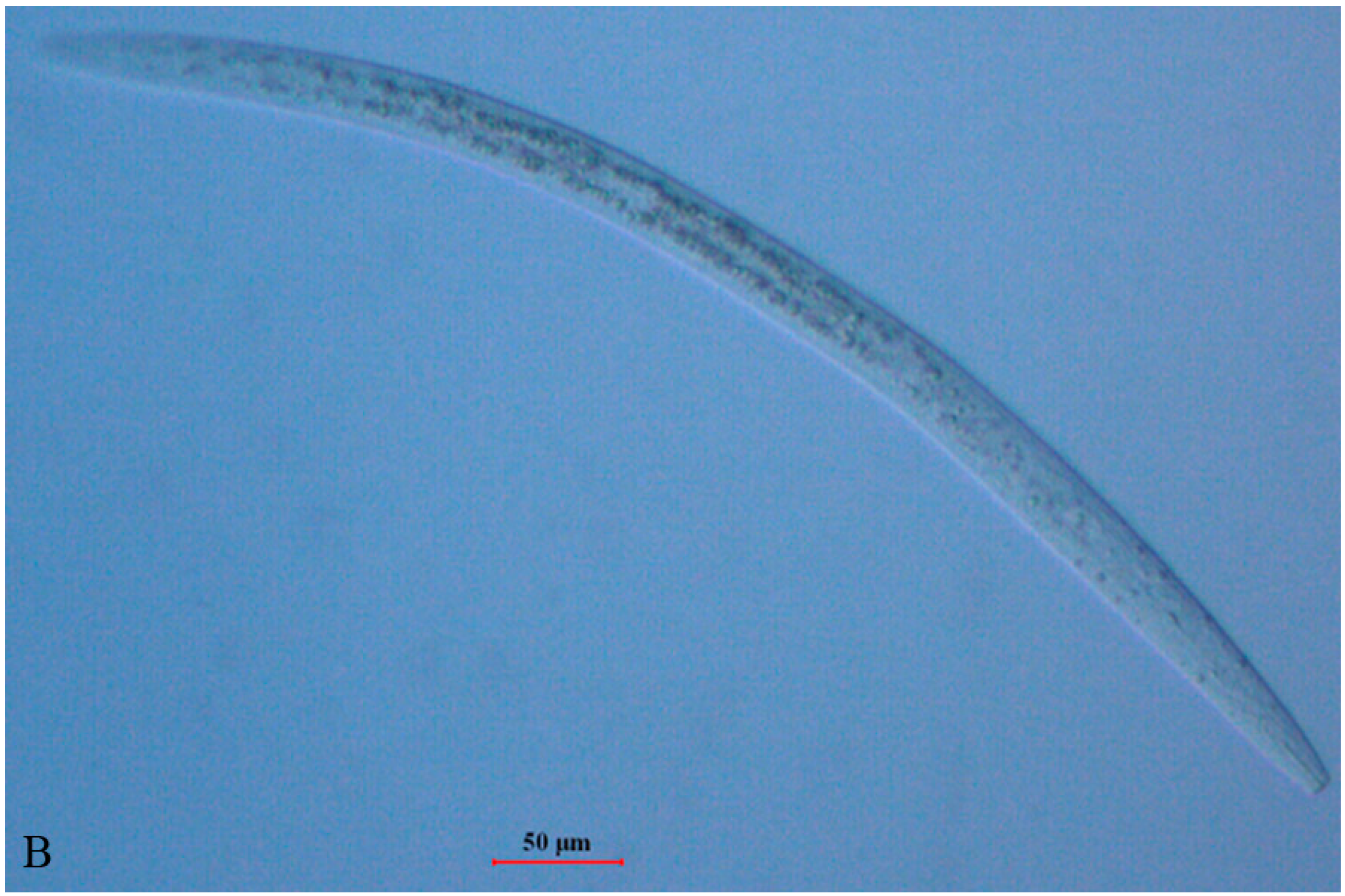 Ijms 17 00125 g001b