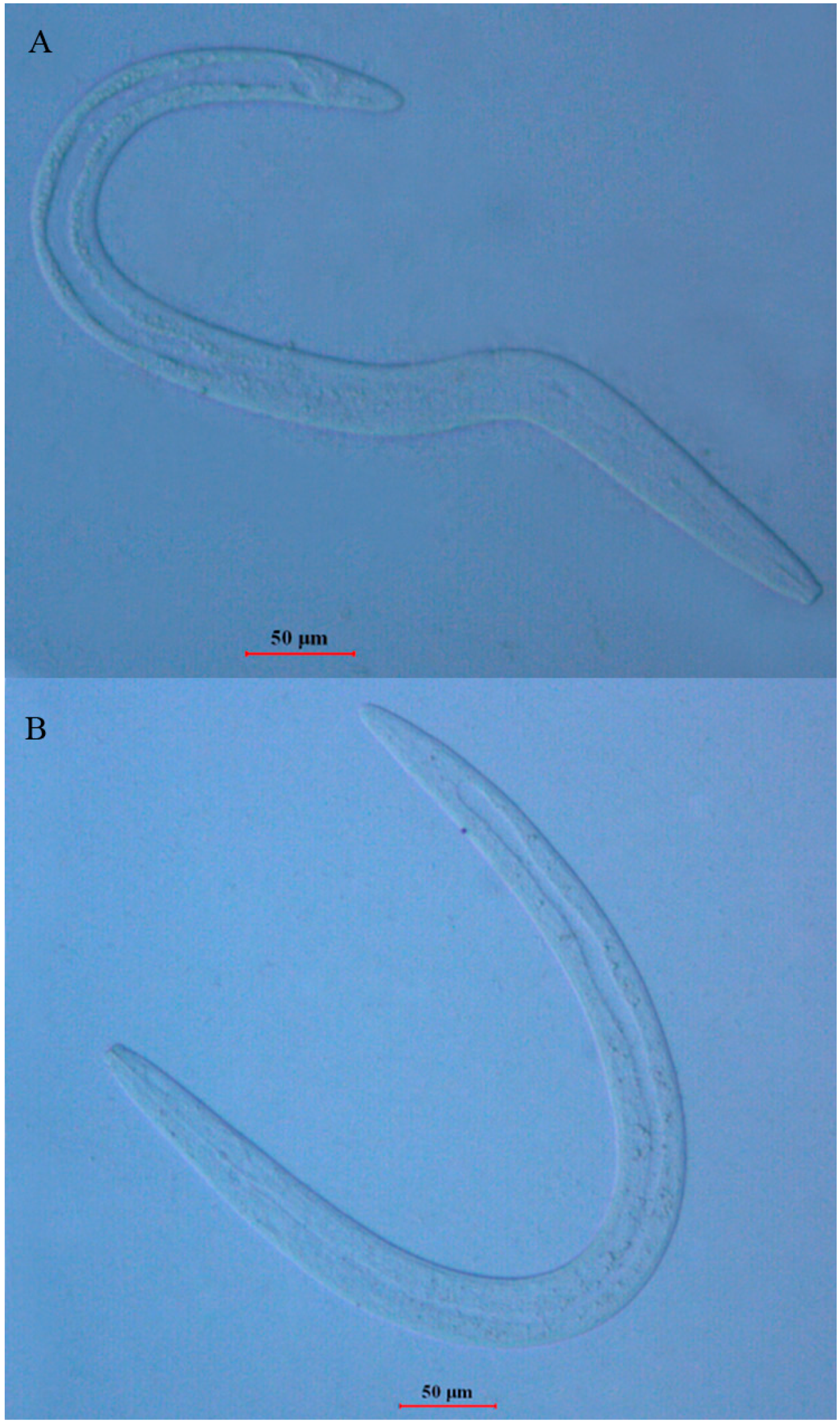 Ijms 17 00125 g002