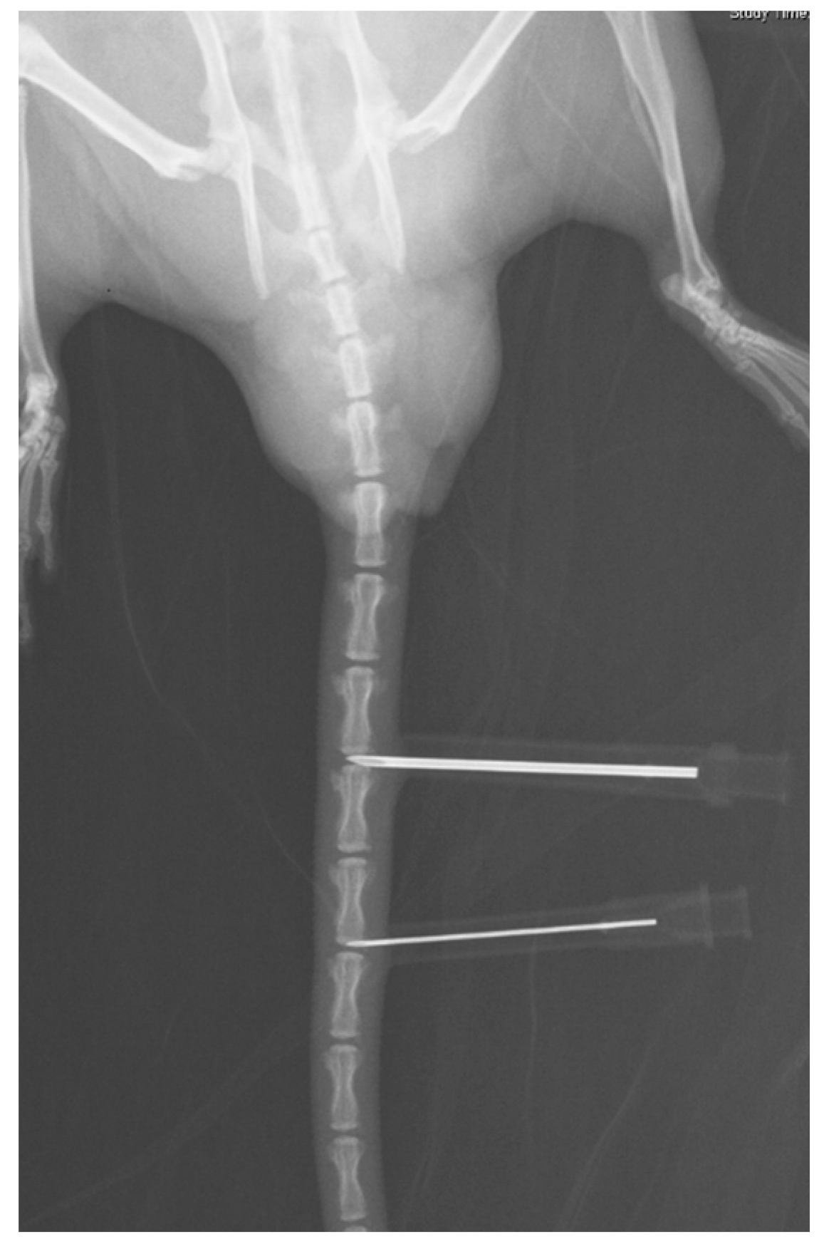 Ijms 17 00147 g005