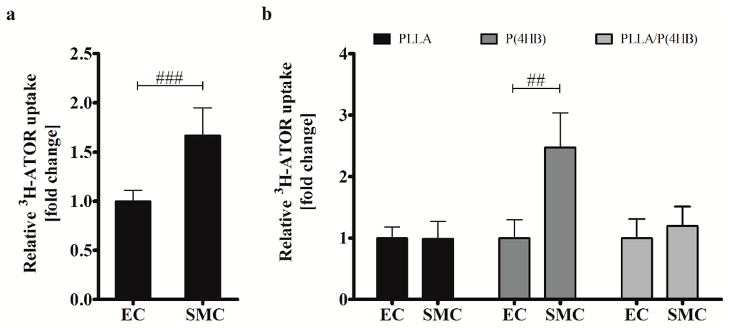 Ijms 17 00148 g005 1024