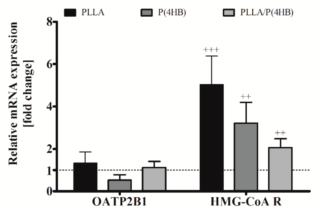 Ijms 17 00148 g006 1024