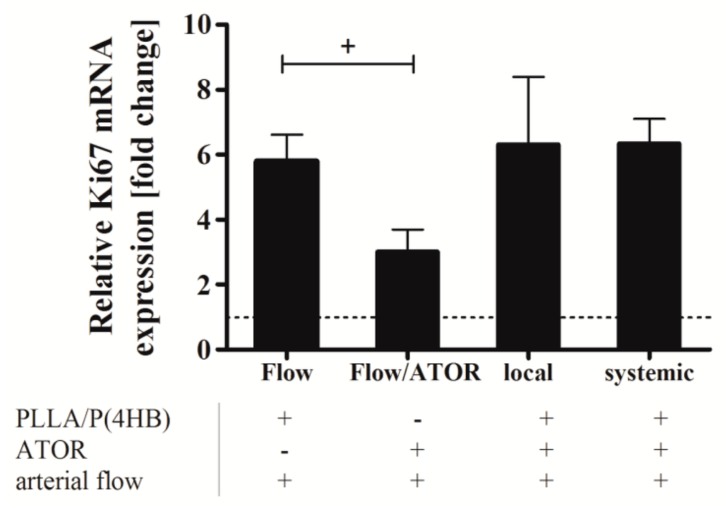 Ijms 17 00148 g007 1024