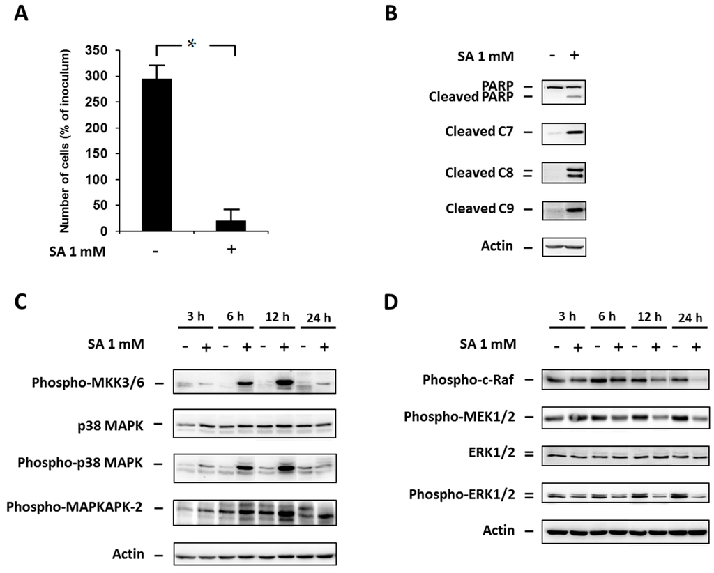 Ijms 17 00159 g001 1024