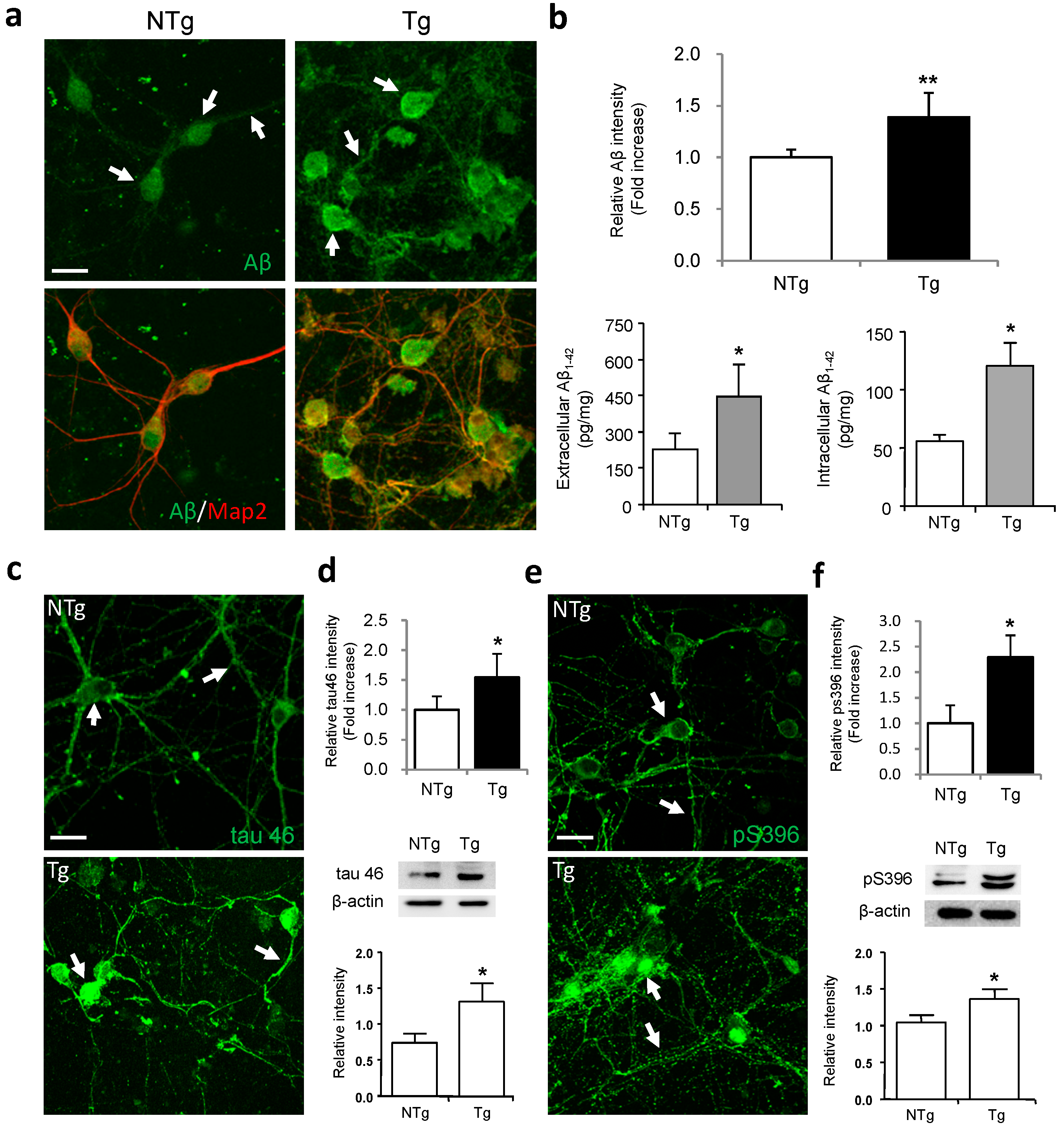 Ijms 17 00163 g001