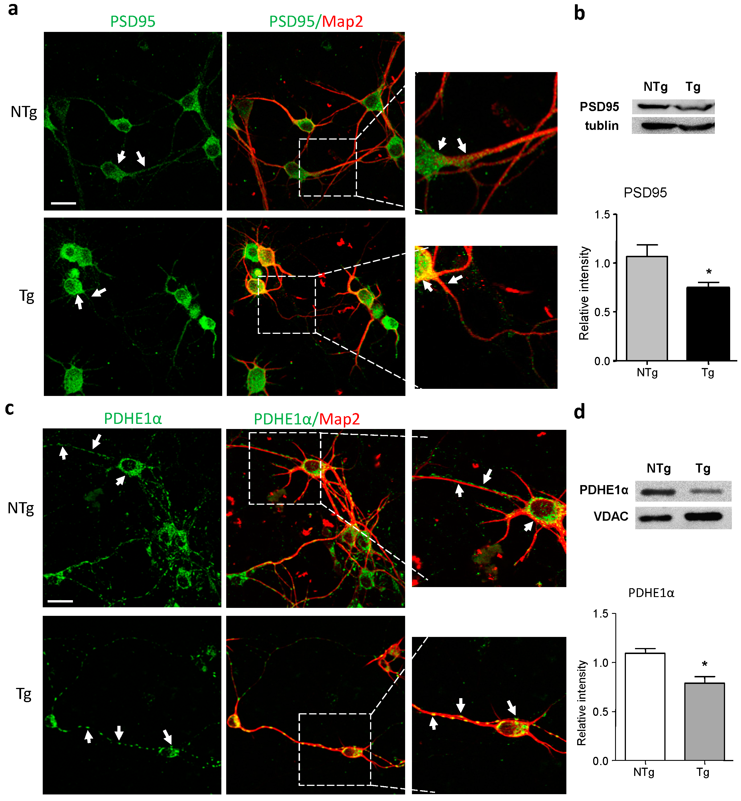 Ijms 17 00163 g002