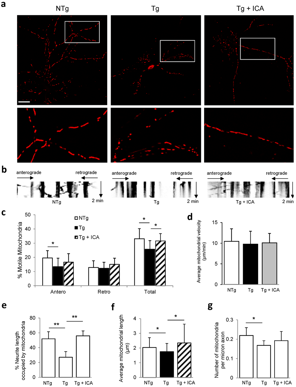 Ijms 17 00163 g003 1024