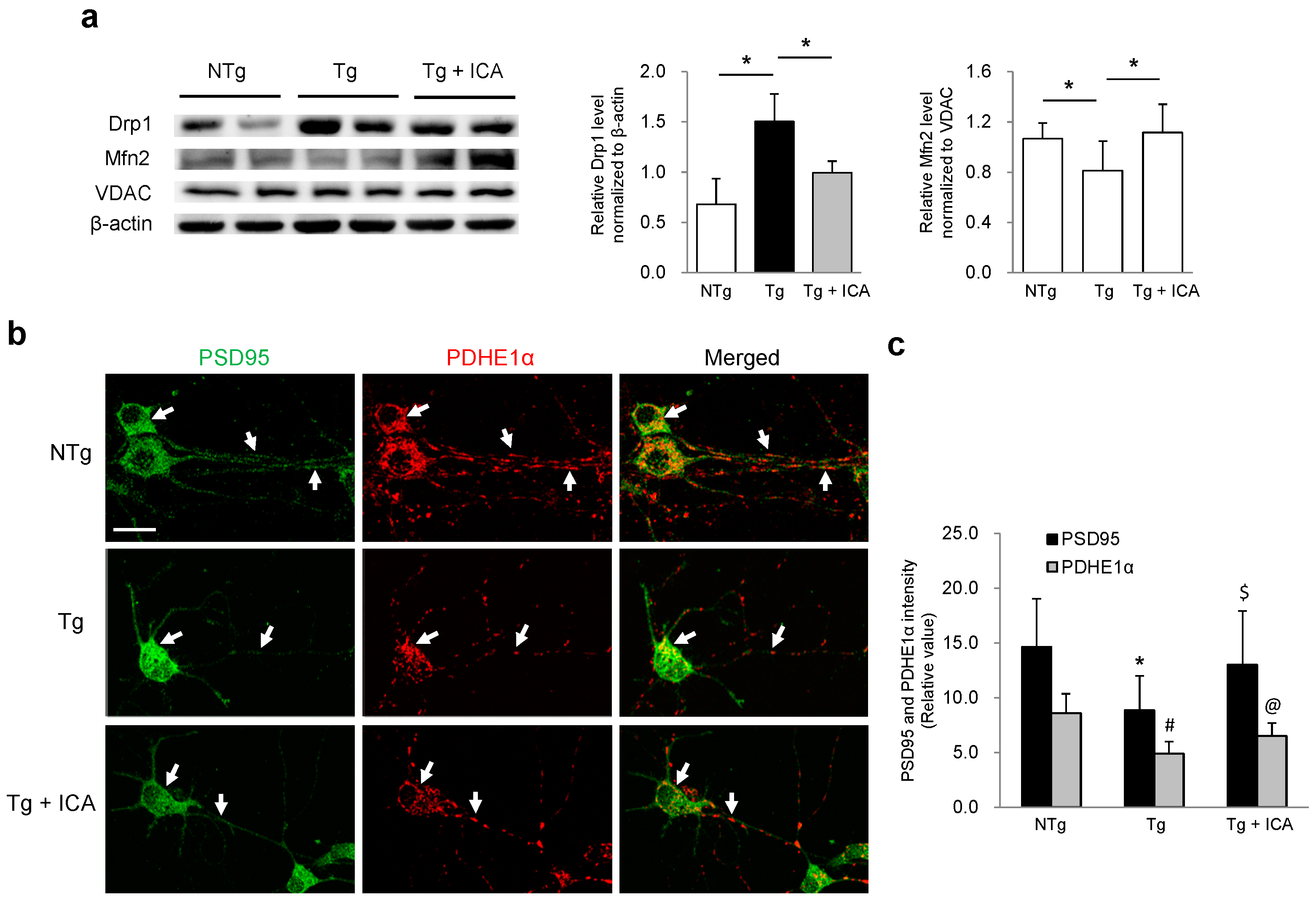 Ijms 17 00163 g004