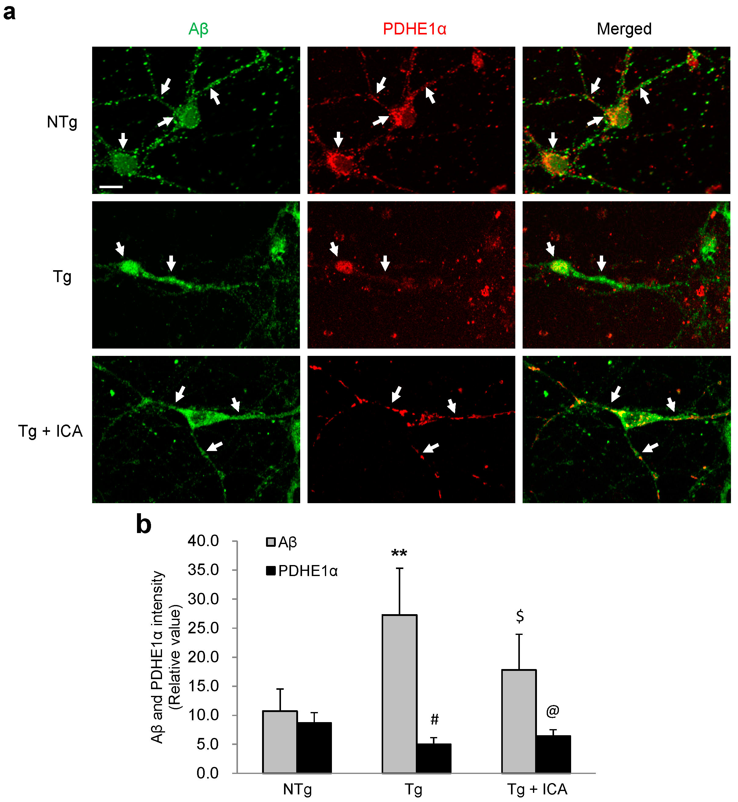 Ijms 17 00163 g005