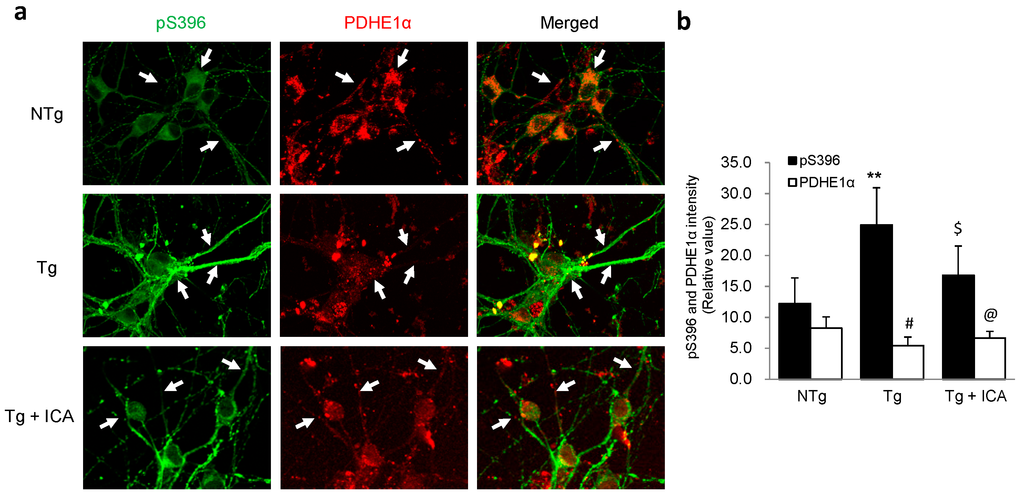 Ijms 17 00163 g006 1024