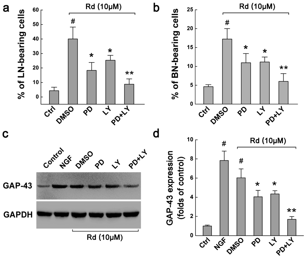 Ijms 17 00177 g005 1024