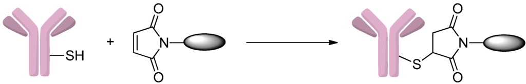 Ijms 17 00194 g003 1024