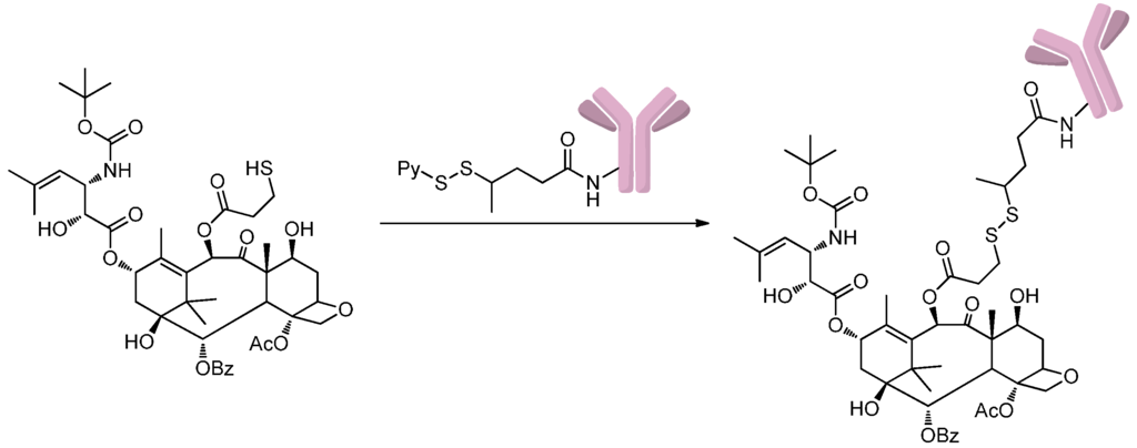 Ijms 17 00194 g004 1024