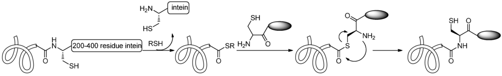 Ijms 17 00194 g007 1024
