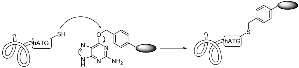 Ijms 17 00194 g008 1024