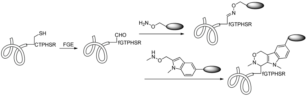 Ijms 17 00194 g015 1024