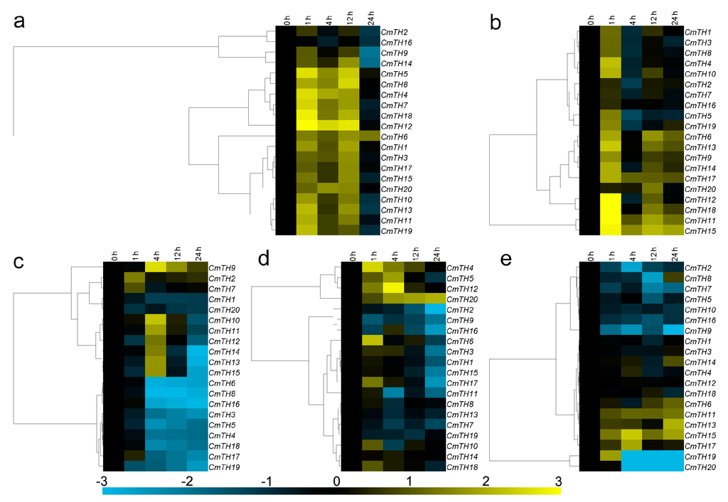 Ijms 17 00198 g005 1024
