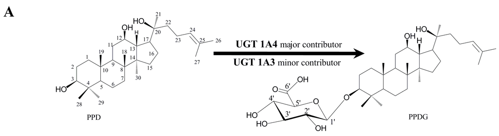 Ijms 17 00205 g001a 1024