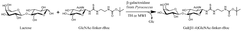 Ijms 17 00210 g006 1024