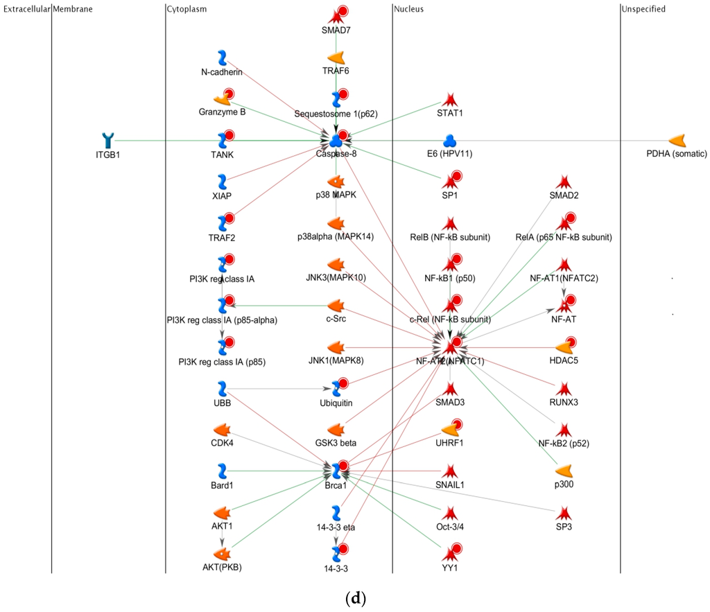 Ijms 17 00216 g006c 1024