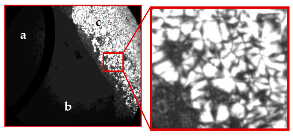 Ijms 17 00223 g001 1024