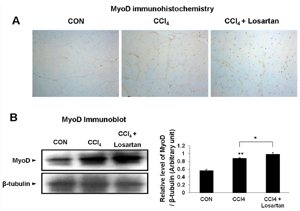 Ijms 17 00227 g005 1024