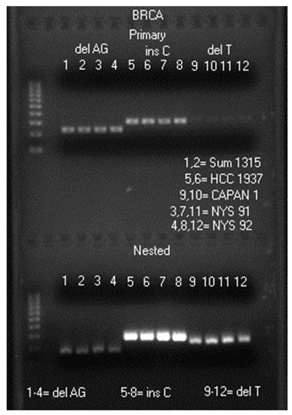 Ijms 17 00229 g001 1024