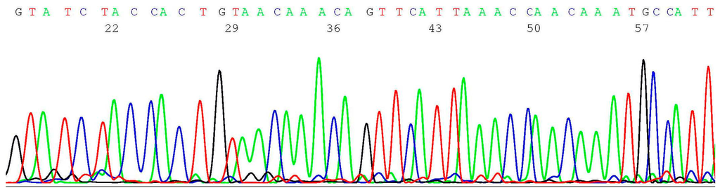Ijms 17 00229 g002 1024