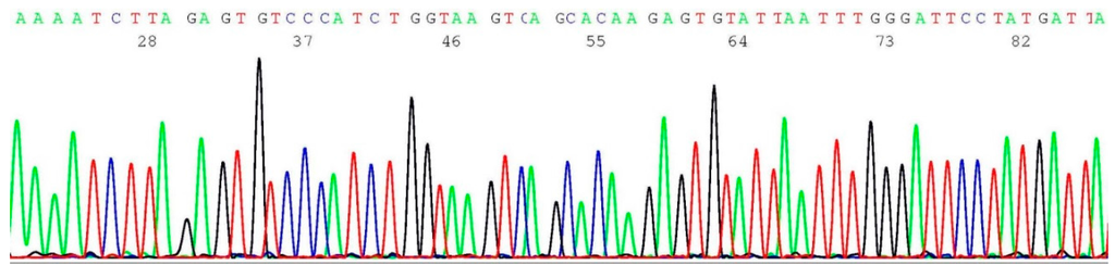 Ijms 17 00229 g003 1024
