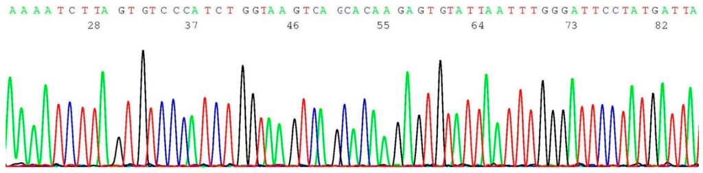 Ijms 17 00229 g004 1024