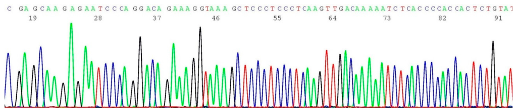 Ijms 17 00229 g005 1024