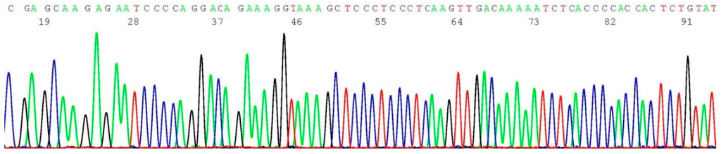 Ijms 17 00229 g006 1024