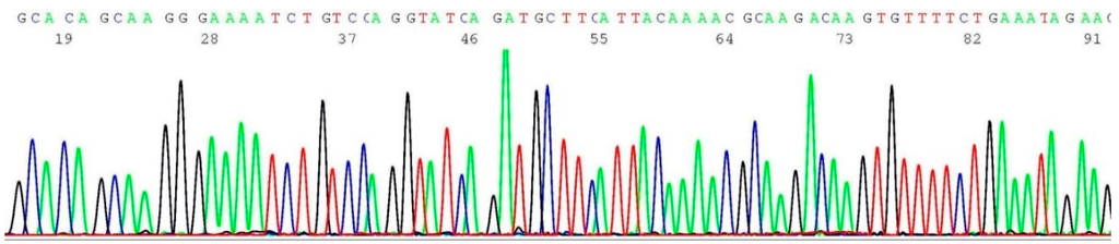 Ijms 17 00229 g008 1024